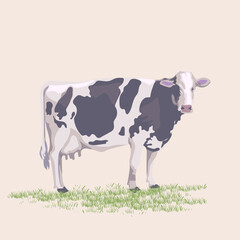 Cow, cattle hand drawn icon character mascot vector illustration. Realistic sketch drawing style poultry farm animal collection.