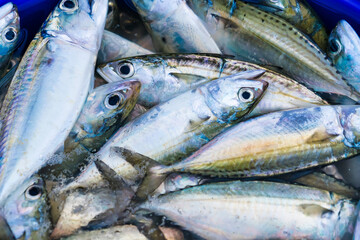 Obraz premium Basket Overflowing with Freshly Harvested Fish Ready for Sale at a Bustling Outdoor Market