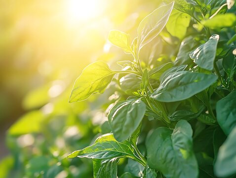 Automated greenhouses adjusting light and temperature close up, tech farming, ethereal, Double exposure, agritech zone backdrop