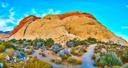 Red Rock Canyon Sandstone Formations with Desert Scrub from Low Angle