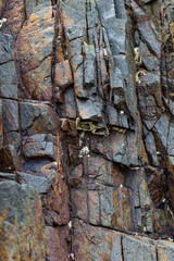 Close-up of a weathered stone cliff with textured layers and natural cracks, showcasing earthy tones of brown, rust, and gray. Perfect as a background or texture for design and creative projects.