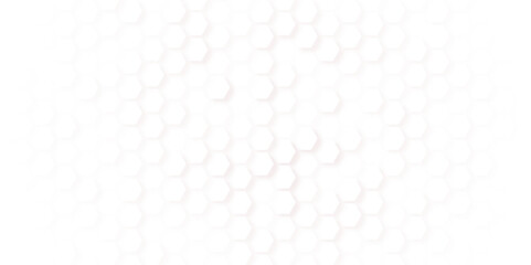 Seamless pattern of the hexagonal netting. Black honeycomb on a white background. Isometric geometry. 3D illustration