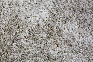 Grey Cement​ wall abstract​ background.​