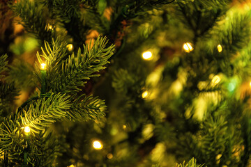 Close-up Christmas tree branch with warm-toned fairy lights. Festive and magical atmosphere, perfect for holiday-themed designs