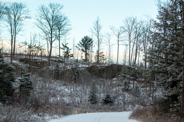 A snow-covered cliff and trees in the forest