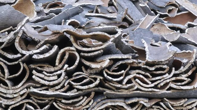 Cork bark stacked to dry near El Colmenar, M&aacute;laga, Andalucia, Spain