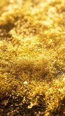 A close-up view of golden, shimmering moss or grass under soft lighting.