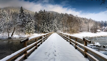 bridge in the snow