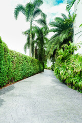 Garden landscape design with pathway and footpath in picturesque summer park and Paving stones on...