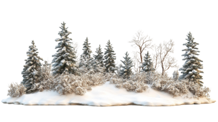 Winter pine forest with snow transparent background