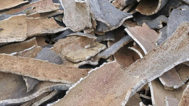 Cork bark stacked to dry near El Colmenar, M&aacute;laga, Andalucia, Spain