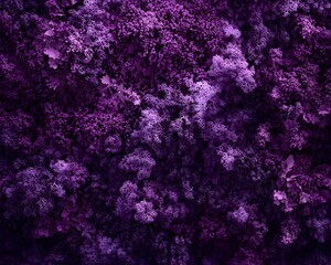 A vibrant display of purple-hued foliage and textures, creating a visually striking pattern.