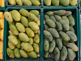 Fresh Green and Yellow Mangoes Displayed in Market Baskets