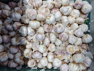 Fresh Garlic Bulbs Piled Together in a Market Basket