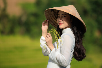 portrait of young asian woman wearing traditional Vietnamese dress standing hold golden rice paddy in her hand and looking camera, rice field background.