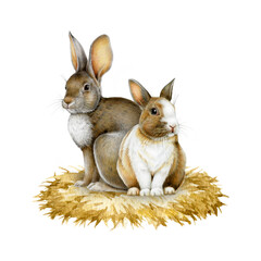 Cute bunny couple siting on the straw pillow. isolated on white background. Hand drawn vintage style watercolor illustration. Ideal for Easter themes, holiday cards, seasonal festive decoration