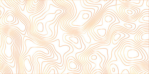 Topographic canyon geometric map relief texture with curved layers and shadow. abstract White background with a beautiful pattern, Topographic contour lines vector map seamless pattern vector.	
