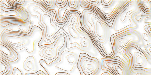 Topographic canyon geometric map relief texture with curved layers and shadow. abstract White background with a beautiful pattern, Topographic contour lines vector map seamless pattern vector.	
