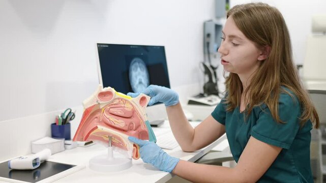 A otolaryngologist doctor explains to a patient about his illness at an appointment. Professional ENT doctor shows the features of a nose and sinus disease. Sinusitis, nasal septum deviation problems