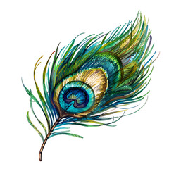 Wonderful peacock feather image