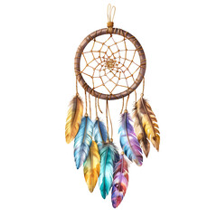 Wonderful peacock feather image