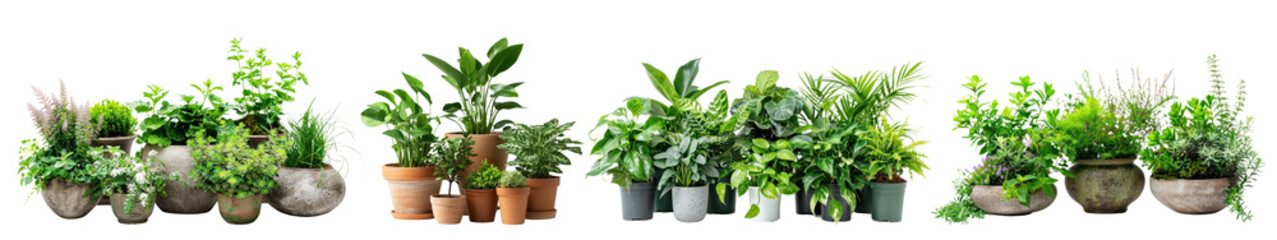 Fototapeta premium PNG Outdoors garden plants set on transparent background
