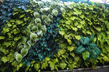 Synthetic plants or Artificial plants on a wall with close up view.