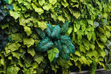 Synthetic plants or Artificial plants on a wall with close up view.