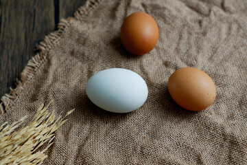 A white egg and two brown eggs are placed on a rough burlap sack.