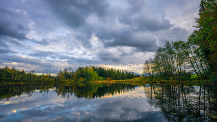 ein Teich in dem sich die Landschaft spiegelt
