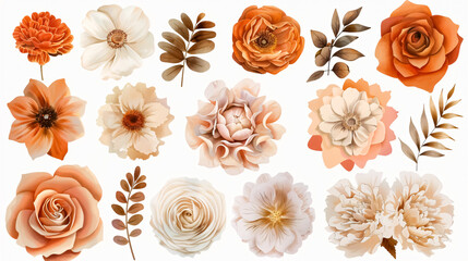 Dusty Orange and Creamy Flowers: Big vector collection featuring dusty orange and creamy antique roses, beige and pale flowers, ferns, creamy dahlias, ranunculus, proteas, and fall leaves.