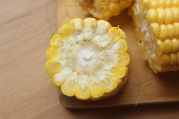 close up of corn
