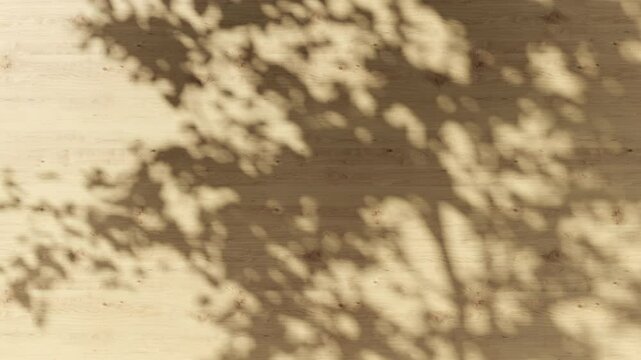 A minimalist composition showcasing the contrast between the rough texture of tree bark and the smooth surface of a wooden wall. 3D animation.