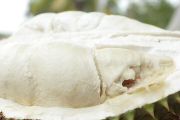 durian