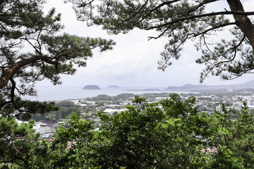 산 정상에서 바라보는 자연 풍경, 제주 서귀포시 보목동 제지기오름