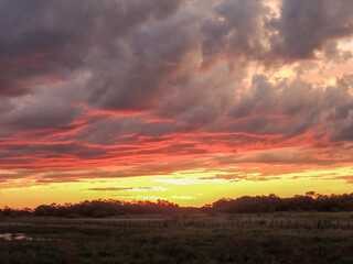 Atardecer en el los llanos. 