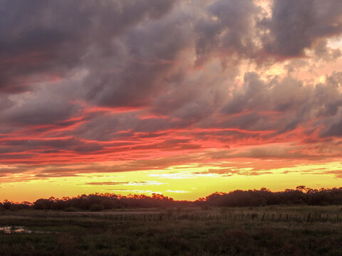Atardecer en el los llanos. 