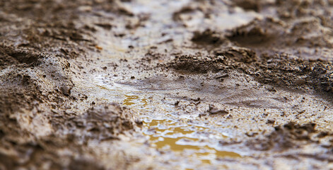 Photo of mud texture for 3D and Graphic 