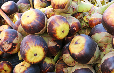 Pile of Palmyra Palm or Toddy Palm Fruits for Sale in Local Market of Thailand