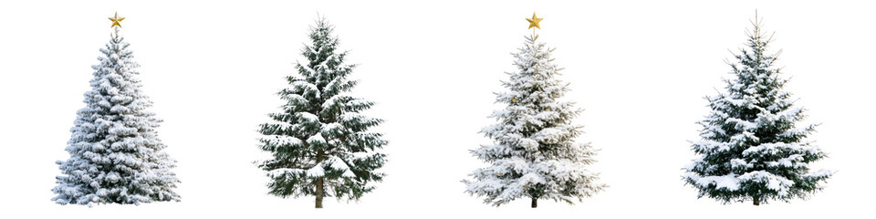 Obraz premium PNG Christmas tree set on transparent background