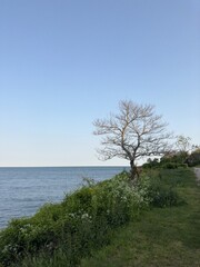 Newport, Rhode Island Coastline.