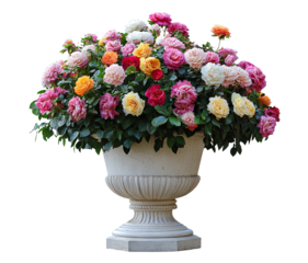 Elegant floral arrangement in decorative vase, isolated on transparent cutout background