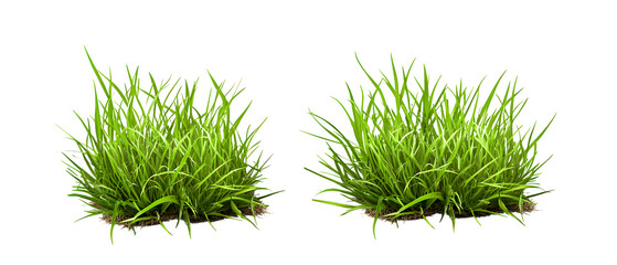 green grass clumps isolated on transparent