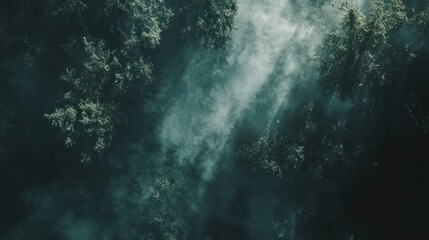 Obraz premium Misty Forest Canopy Aerial View