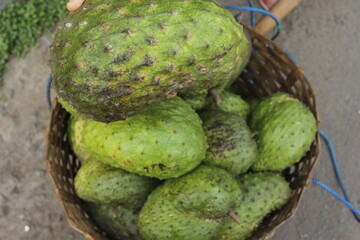 Annona muricata