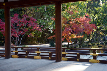 上賀茂神社　橋殿と紅葉　京都市北区