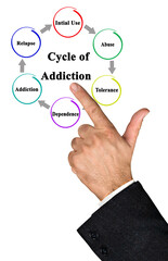 Components of Cycle of Addiction