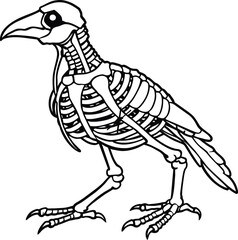 Crow Bird Skeleton Illustration Vector Design