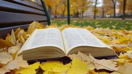 Open Book Rests On Bench Amidst Autumn Leaves