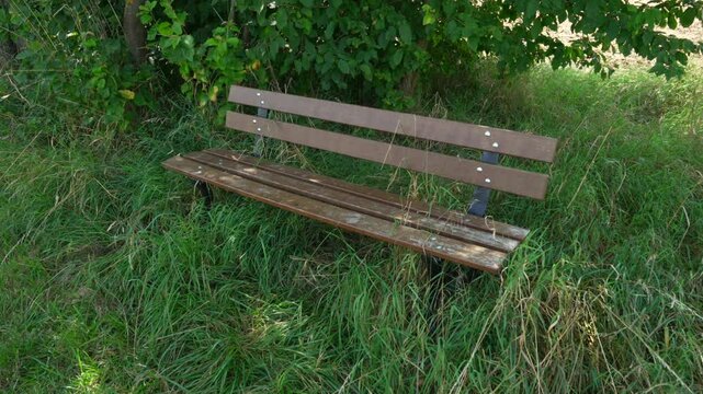 Wood bench inside park with tall grass, unmaintained public space, outdoor